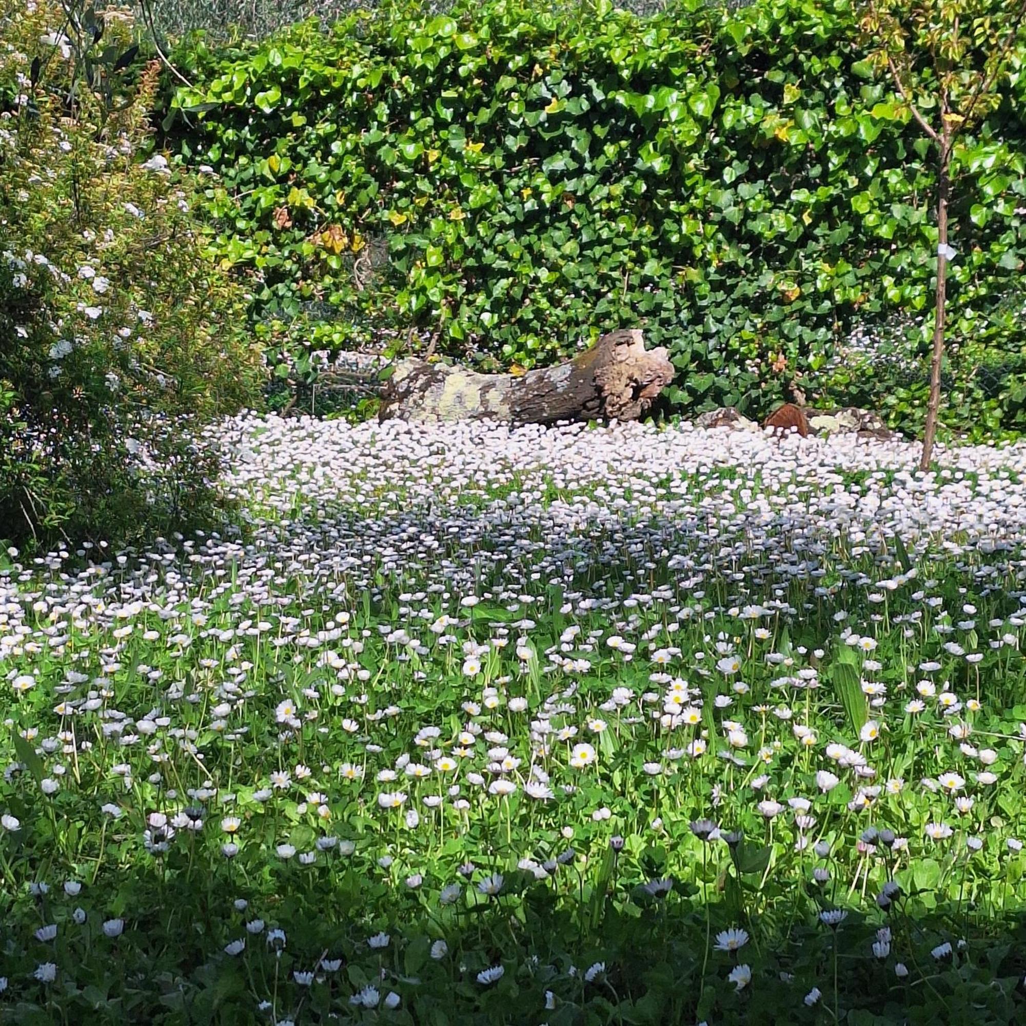 Dimora Nel Chianti Guest House San Sano Bagian luar foto