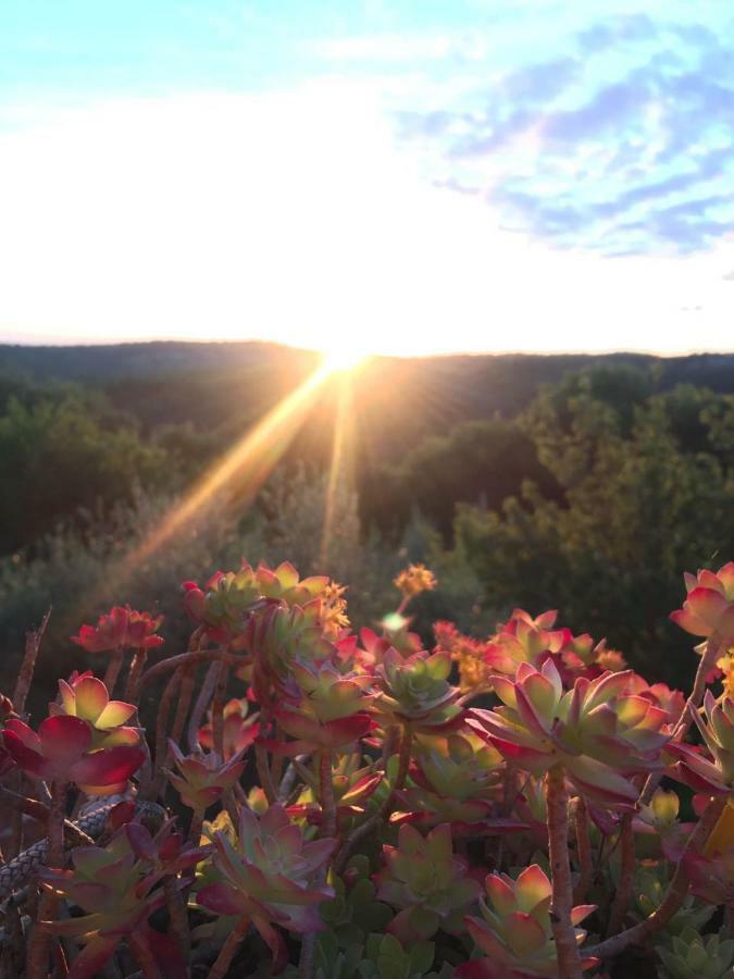 Dimora Nel Chianti Guest House San Sano Bagian luar foto